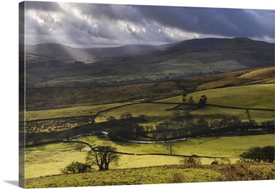 Traditional Drystone wall and farming in Swaledale, Yorkshire Dales National Park