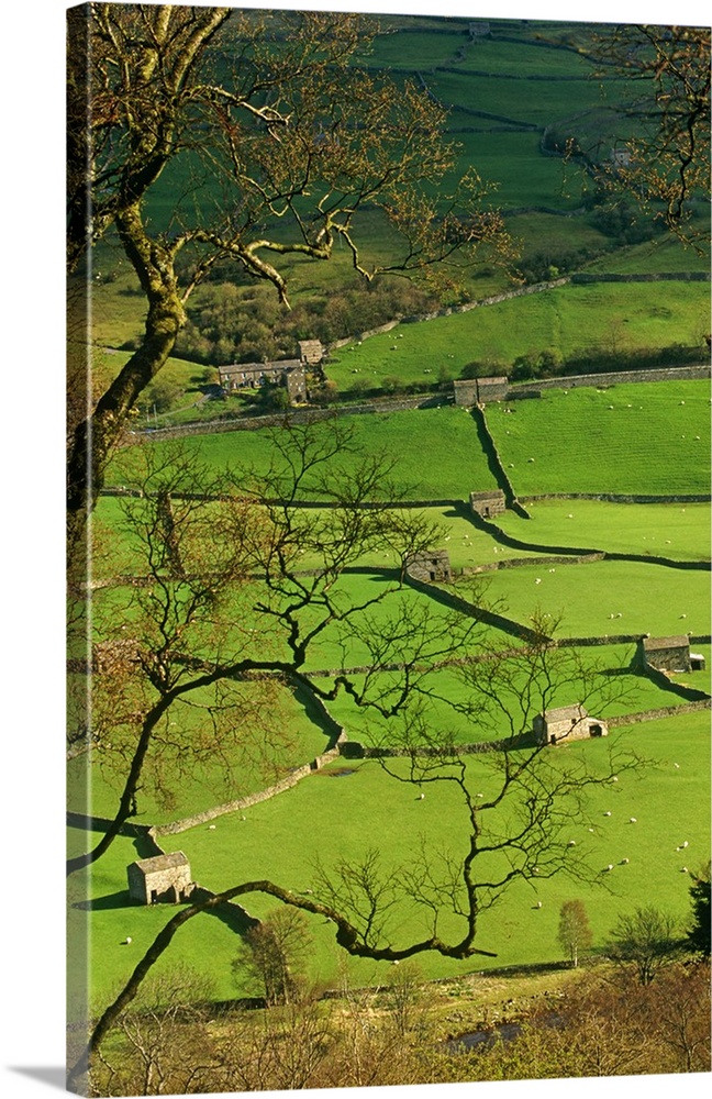 Traditional Farming valley in Swaledale, Yorkshire Dales National Park, England.