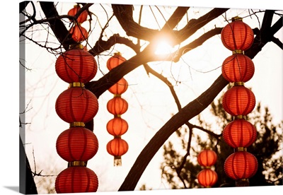 Traditional Red Chinese Lanterns, Forbidden City, Beijing, China