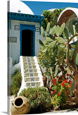 Tunisia, Tunis, Sidi-Bou-Said, Courtyard of a traditional riad or merchant's house