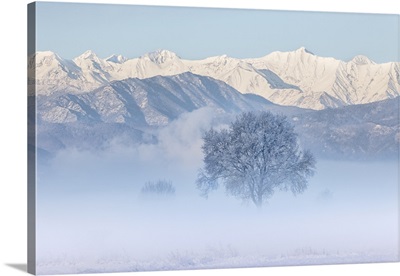 Turin Province, Piedmont, Italy Magic Winter Sunrise In The Piedmont Plain