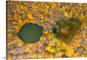 Tuscan-Emilian Apennine National Park, Italy image thumbnail