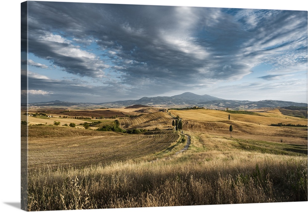 Tuscan landscape, Val d'Orcia, Siena province, Tuscany, Italy.