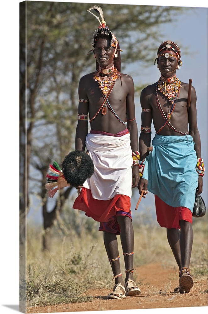 Two Samburu warrior of Northern Kenya in all their finery. The ostrich pompom on the spear was formerly a sign of peace.