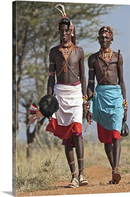 Two Samburu warrior of Northern Kenya in all their finery