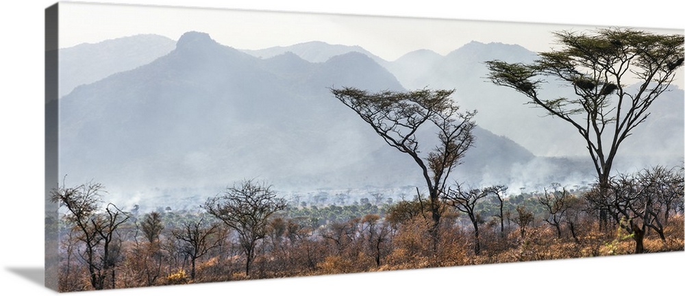 Uganda, Kidepo. The deliberate burning of tall grass takes place soon after the rainy season each year in and around the K...