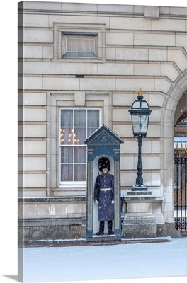 Uk, England, London, Buckingham Palace, Guard