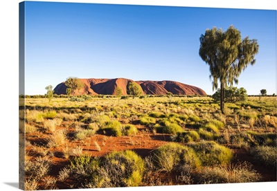 Uluru, Uluru-Kata Tjuta National Park, Northern Territory, Central Australia, Australia