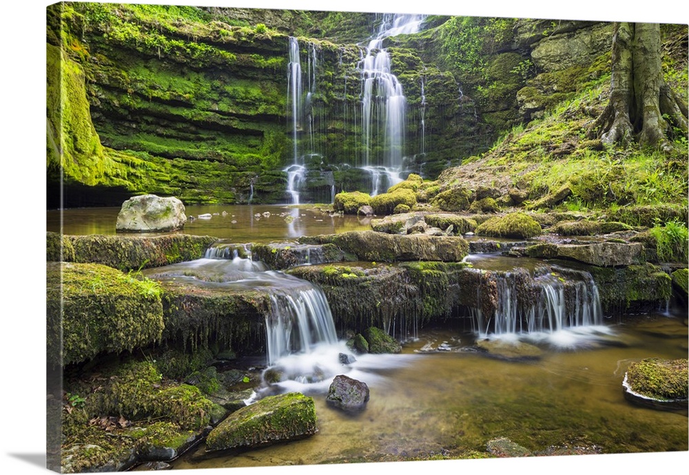 United Kingdom, England, North Yorkshire, Settle, Scaleber Force at Springtime.