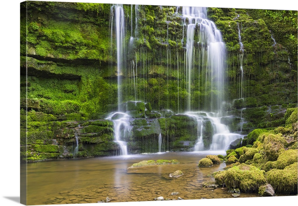 United Kingdom, England, North Yorkshire, Settle, Scaleber Force at Springtime.