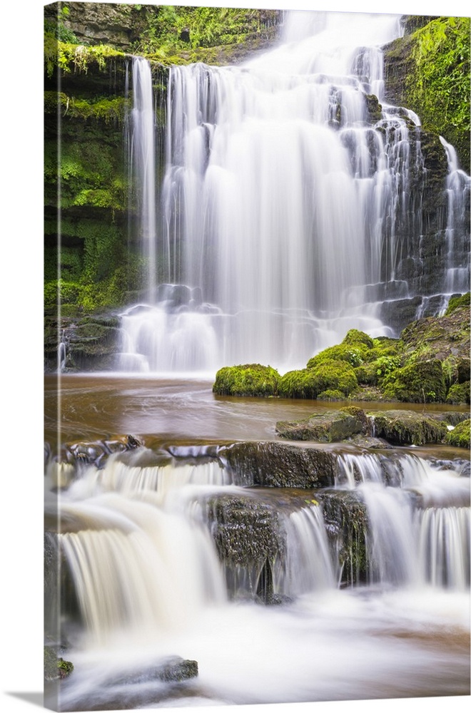 United Kingdom, England, North Yorkshire, Settle, Scaleber Force in Summer.