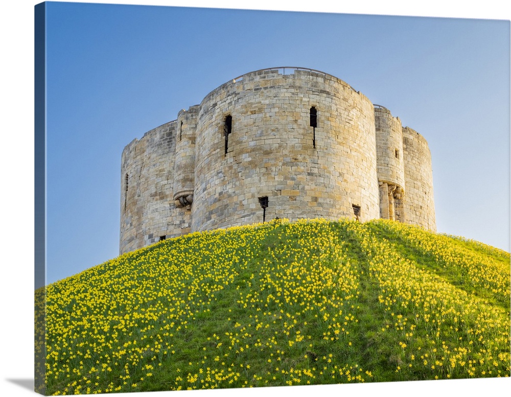 United Kingdom, England, North Yorkshire, York. Dating back to the 11th Century, Clifford's Tower is the largest remaining...