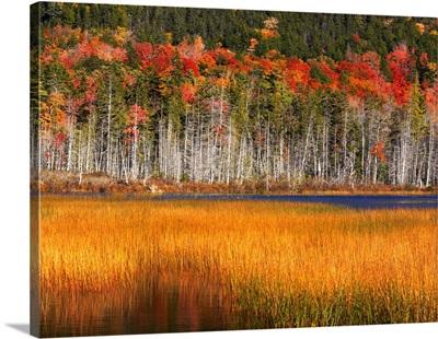 Upper Hadlock Pond In Autumn, Acadia National Park, Maine, USA