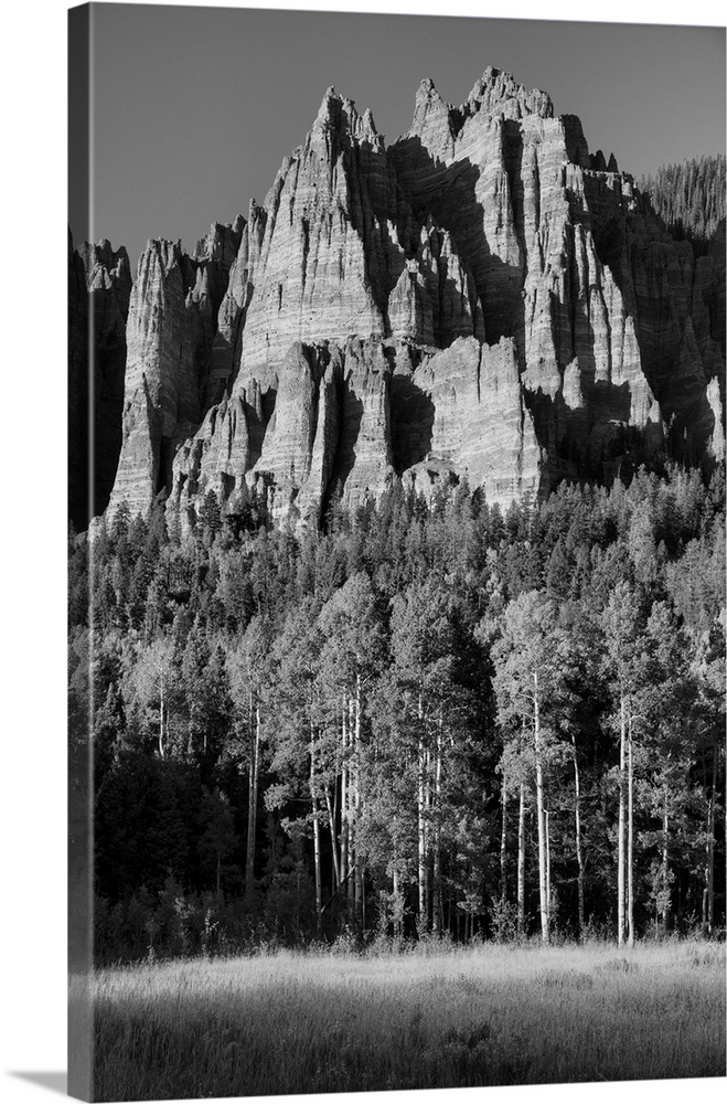 USA, Rocky Mountains, Colorado, Uncompahgre National Forest, Owl Creek Pass.