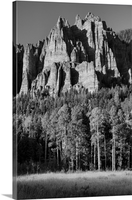Usa, Rocky Mountains, Colorado, Uncompahgre National Forest, Owl Creek Pass