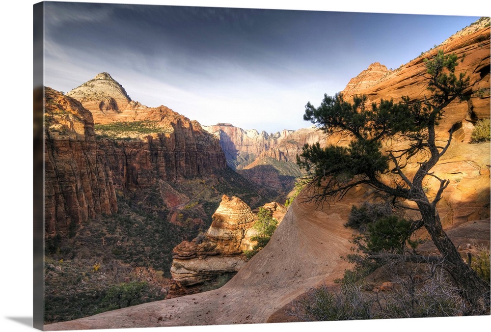 USA, Utah, Zion National Park, from Canyon Overlook