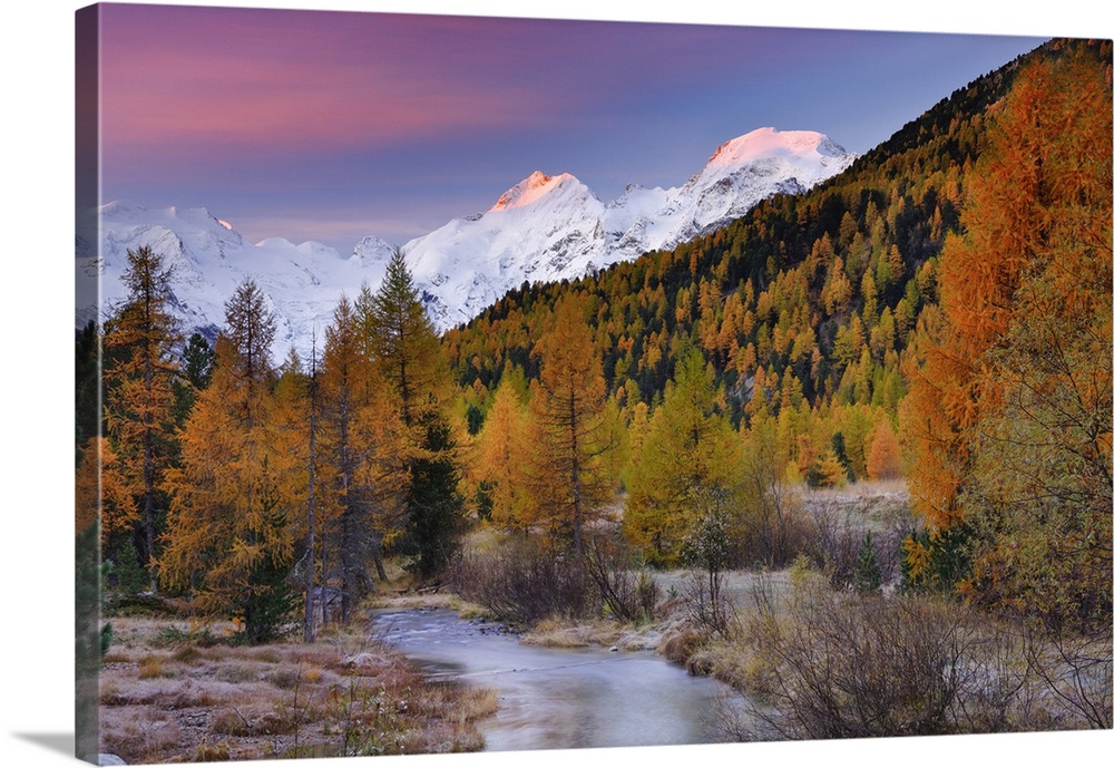 Valley of Morteratsch, Piz Bernina and Piz Morteratsch in the background, Upper Engadine, Canton of Grisons, Switzerland