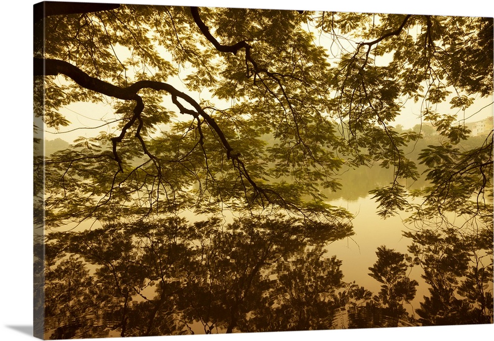 Vietnam, Ha Noi, Hoan Kiem Lake. A huge tree hangs low over the still waters of Hoan Kiem Lake.