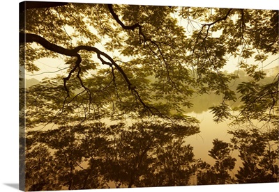 Vietnam, Ha Noi, A huge tree hangs low over the still waters of Hoan Kiem Lake