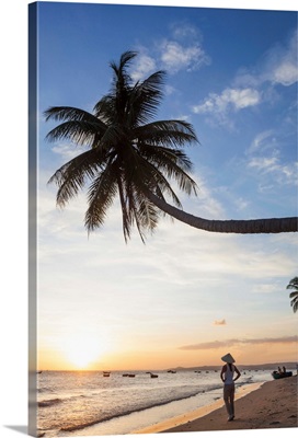 Vietnam, Mui Ne, Mui Ne Beach, Palm Trees at Sunset
