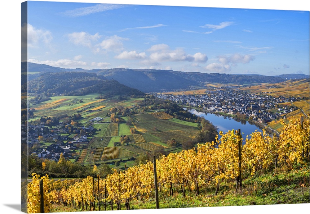 View at Krov, Mosel valley, Rhineland-Palatinate, Germany.