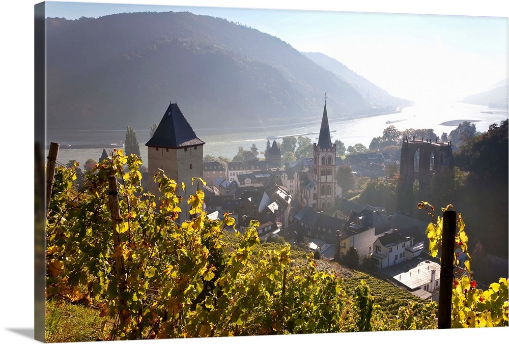 View on Bacharach with Peters church and river Rhine, Rhineland-Palatinate, Germany