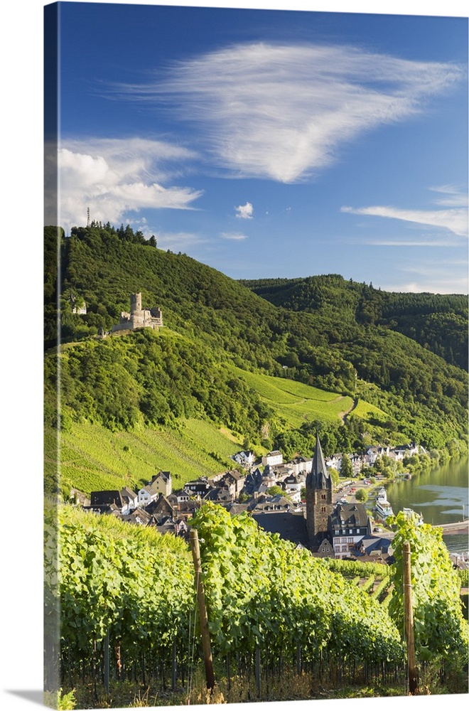 View of vineyards and River Moselle, Bernkastel-Kues, Rhineland-Palatinate, Germany.