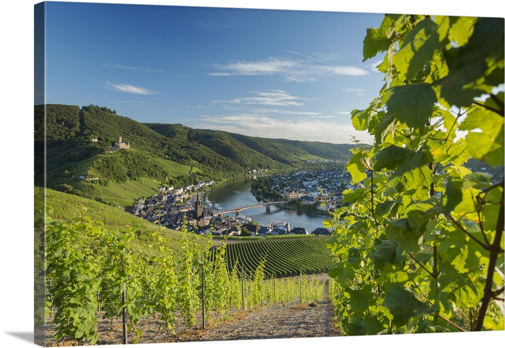 View of vineyards and River Moselle, Bernkastel-Kues, Rhineland-Palatinate, Germany.
