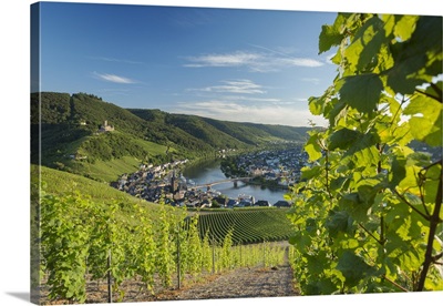 Vineyards and River Moselle, Bernkastel-Kues, Rhineland-Palatinate, Germany