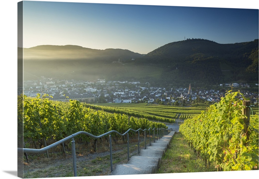 View of vineyards, Bernkastel-Kues, Rhineland-Palatinate, Germany.