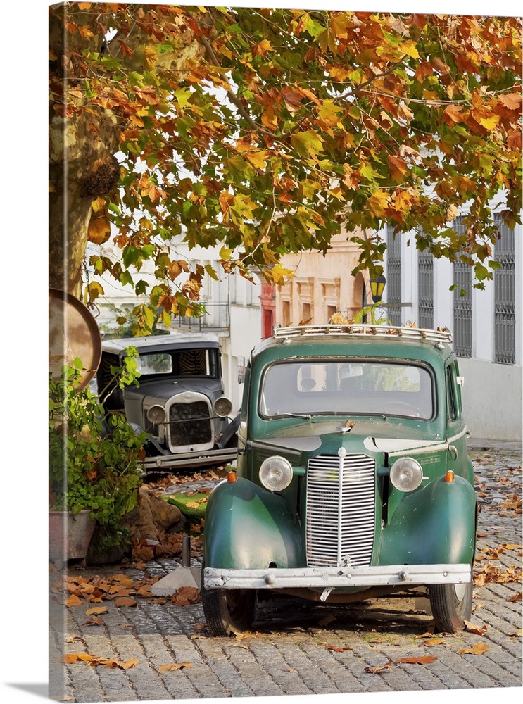 Uruguay, Colonia Department, Colonia del Sacramento, Vintage cars on the cobblestone lane of the historic quarter.