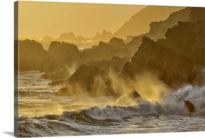 Waves crashing on shoreline, Pfeiffer State Park, Big Sur, California