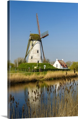 Windmill along Damme canal, Damme, West Flanders, Belgium