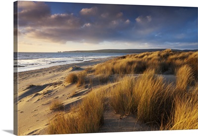 Windswept sand dunes on the beach at Studland Bay, Dorset, England