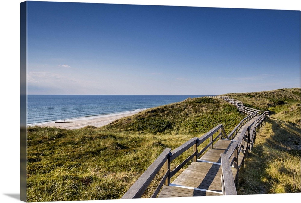 Wodden path in the dunes, Wenningstedt, Sylt Island, Northern Frisia, Schleswig-Holstein, Germany