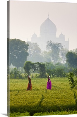 Women carrying water pots, Taj Mahal, Agra, India