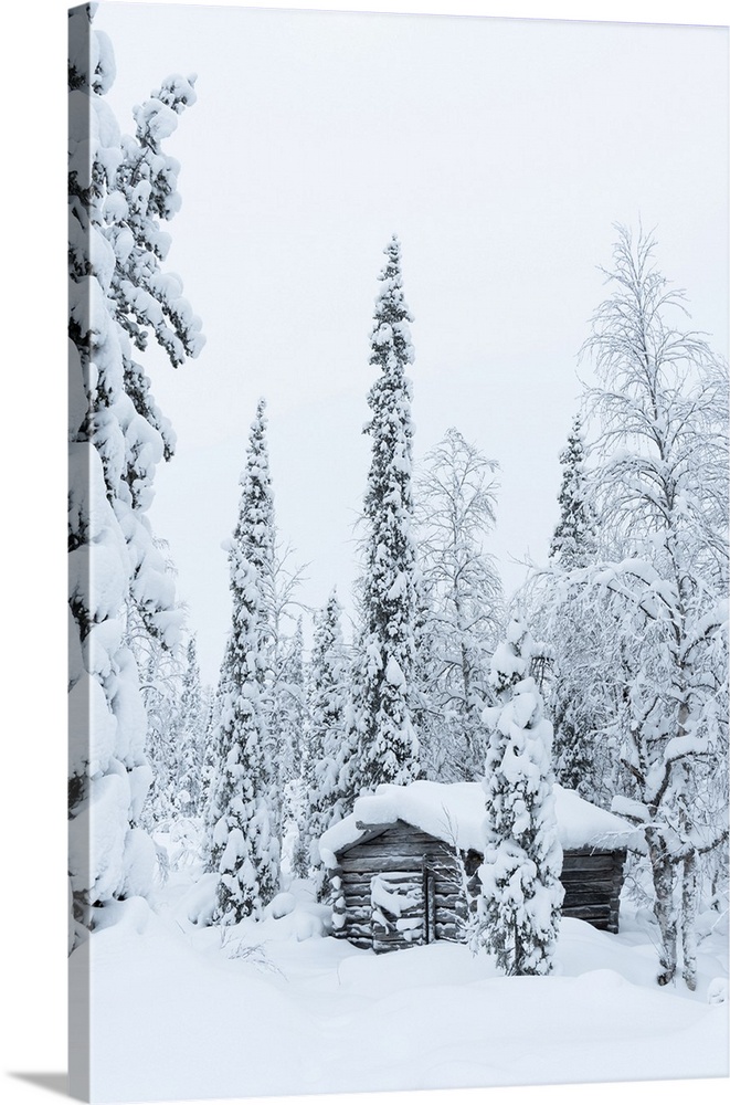 Wooden hut covered with snow in the snowy forest at Pallas-Yllastunturi National Park, Akaslompolo, Muonio, Lapland, Finland