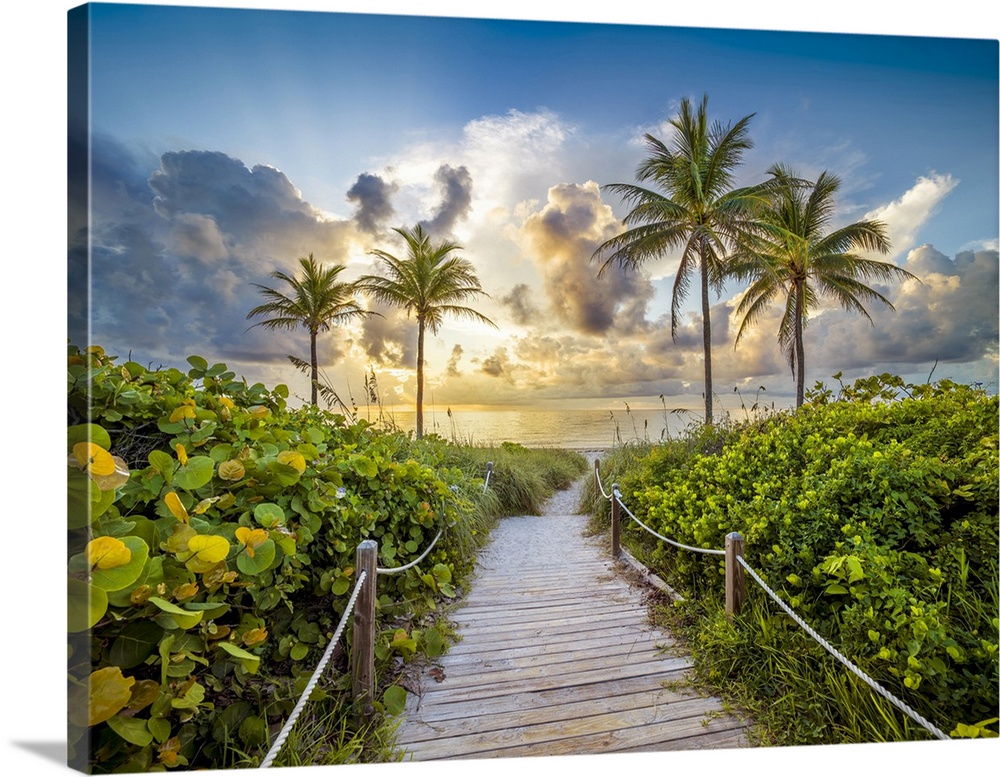 Wooden Path to the Beach surrounded by palm trees, Hollywood Beach, Hollywood, Miami Beach Florida, USA