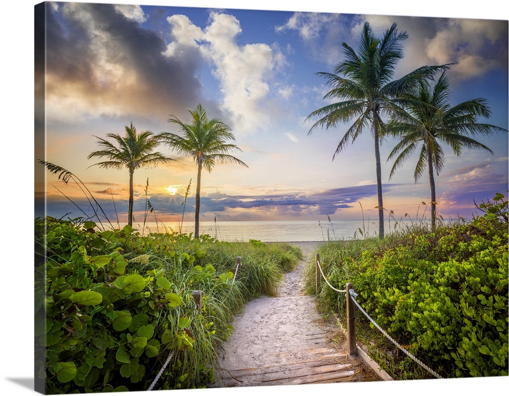 Wooden Path to the Beach surrounded  by tropical palm trees at sunrise Hollywood Beach, Hollywood, Miami Beach, Florida, USA