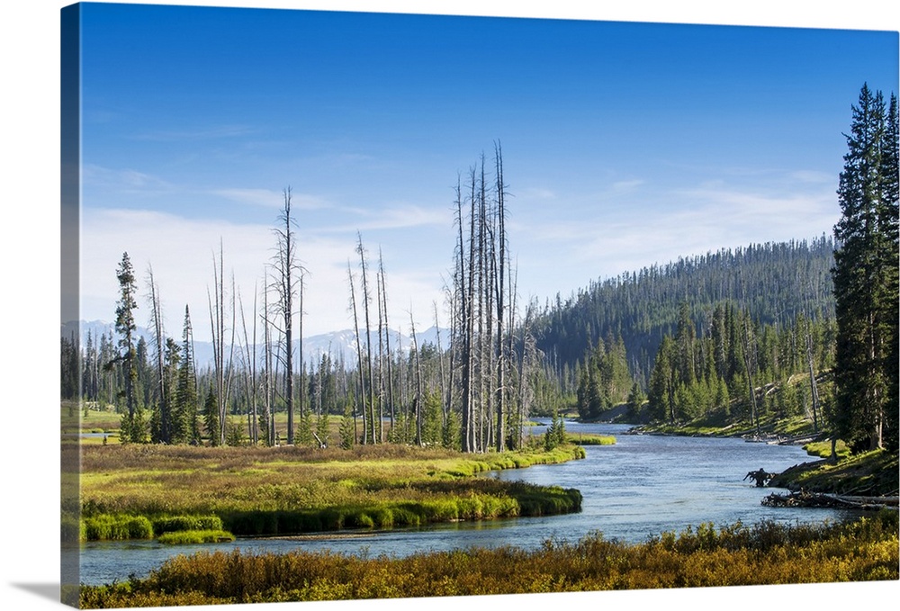 Yellowstone River, Yellowstone National Park, Wyoming, USA.