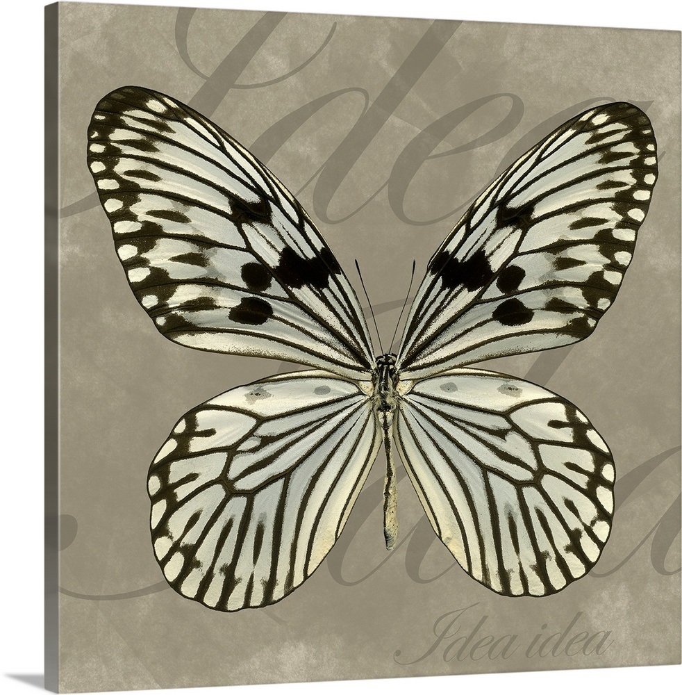 Rice Paper Wall Art, Canvas Prints, Framed Prints, Wall Peels Great Big Canvas