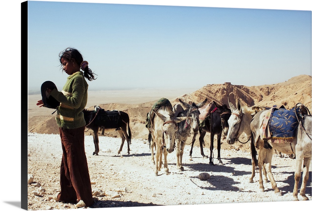 A Young Girl With Her Caravan of Donkeys