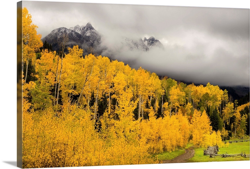Fall Colors Peak In Colorado's Rocky Mountains Telluride Wall Art, Canvas Prints, Framed Prints ...