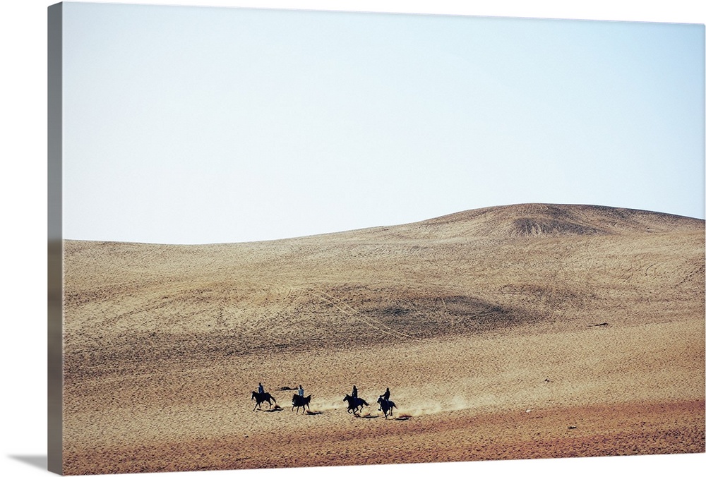 Four young men riding their horses, bareback, through the desert near the Great Pyramids; Giza, Egypt.