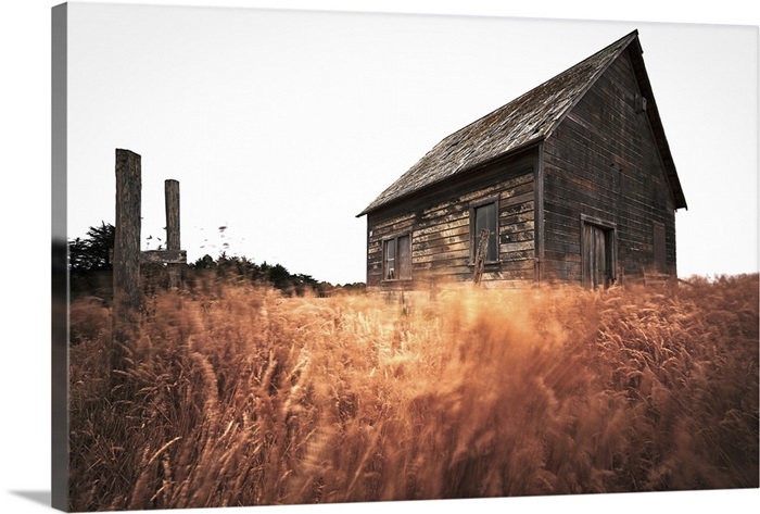 Old Barn And Field Sonoma California Wall Art Canvas Prints Framed Prints Wall Peels Great Big Canvas