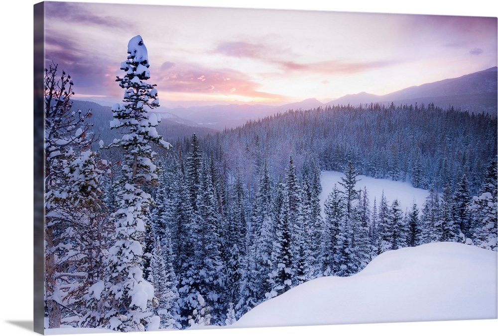 Nature photograph of snow covered trees and  mountains in Colorado as the sun sets.