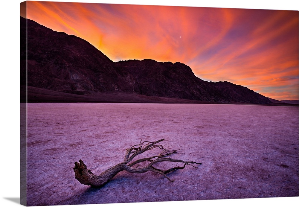 Sun Rise In Death Valley and a Lone Branch, Badwater Basin
