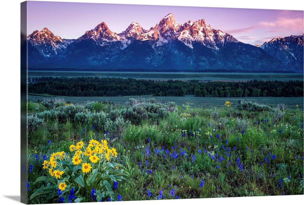 Canvas Wall Art American Fantastic Sunrise Landscape in Grand Teton National Park 5Pcs Modern Landscape Artwork Scenery Painting for Home Decoration Wall Decor Stretched and Framed Ready to Hang 