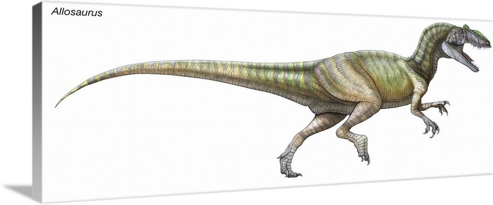 An illustration from Encyclopaedia Britannica of the dinosaur Allosaurus.