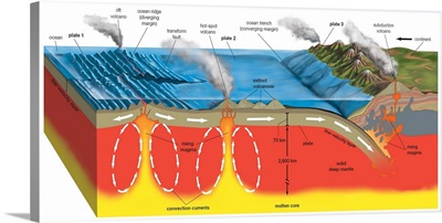 Cross Section Of Plate Boundaries Formed By Ridges, Faults, And Subduction